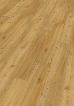 Ter Hürne, Friends Oak Conny, planka