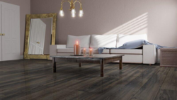 Canyon Black Oak Högblank D3686