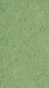 DLW Marmorette linoleum, Frog Green