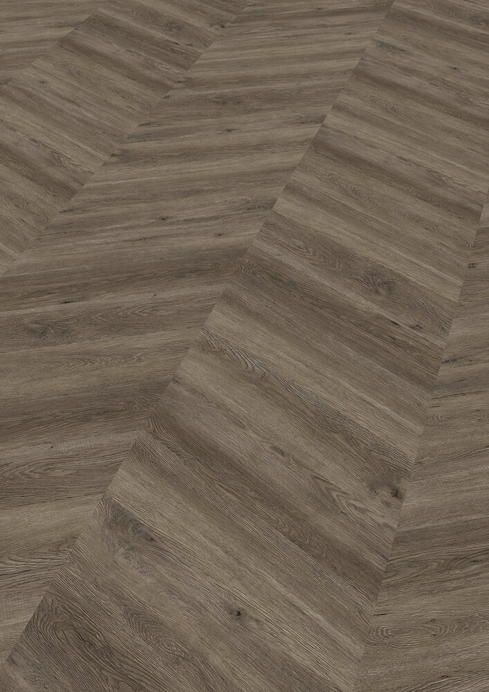 Chevron Edition Pro, Oak Canberra