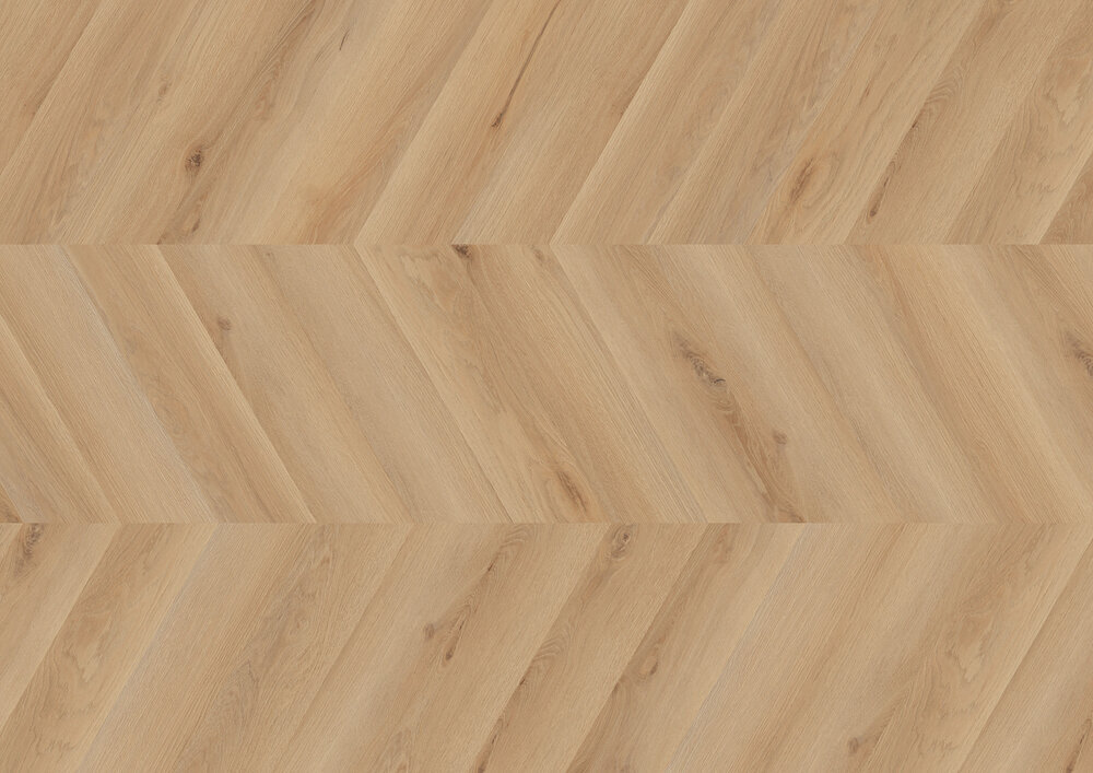 Chevron Edition Pro, Oak Rotterdam