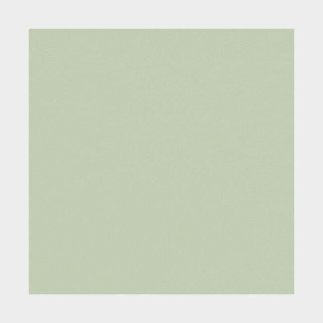 Bordlinoleum - Forbo Furniture Desktop Pistachio