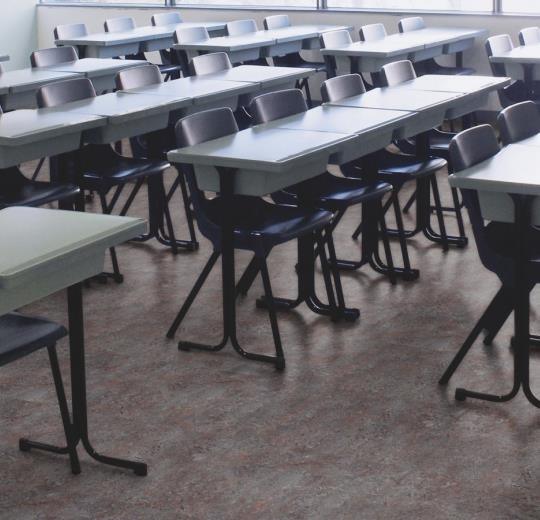 Marmoleum  Vivace - Oyster Mountain