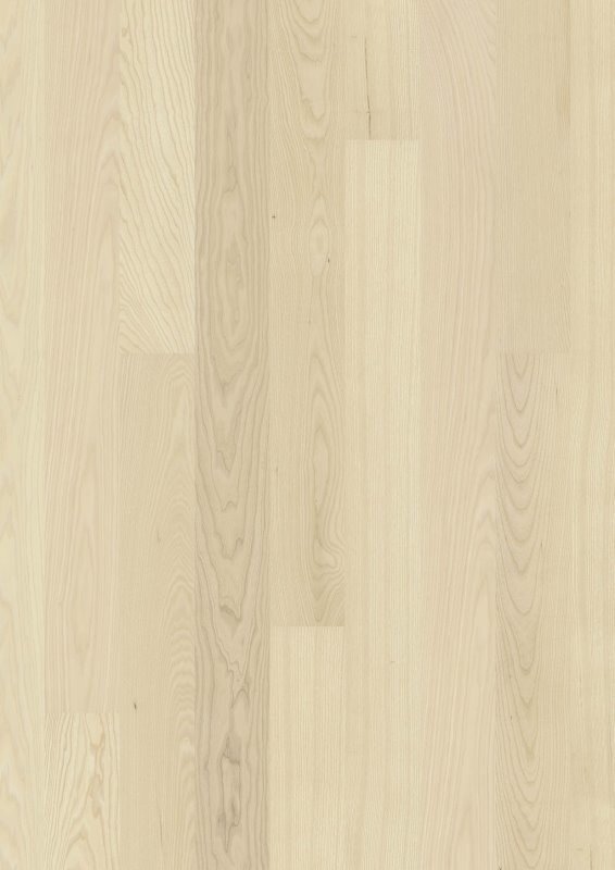 BOEN Ask Transparent Andante, Plank