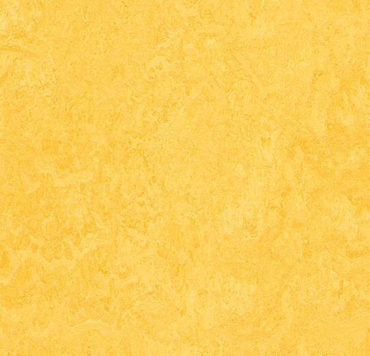 Marmoleum Fresco - Lemon Zest