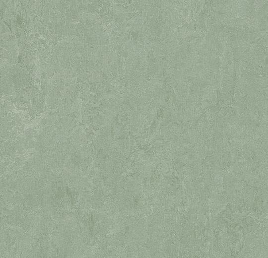 Marmoleum Fresco - Sage