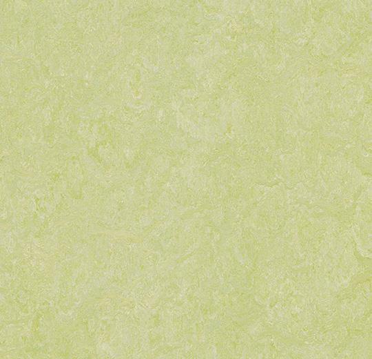Marmoleum  Real - Green Wellness