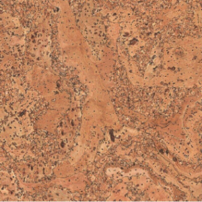 Ziro KorkLife 10 Korkgolv, Savona Natur obehandlat - REA