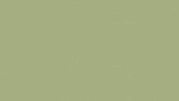 Tarkett LinoWall Olive