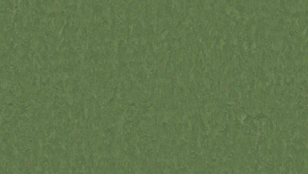 Style Emme xf² Pine