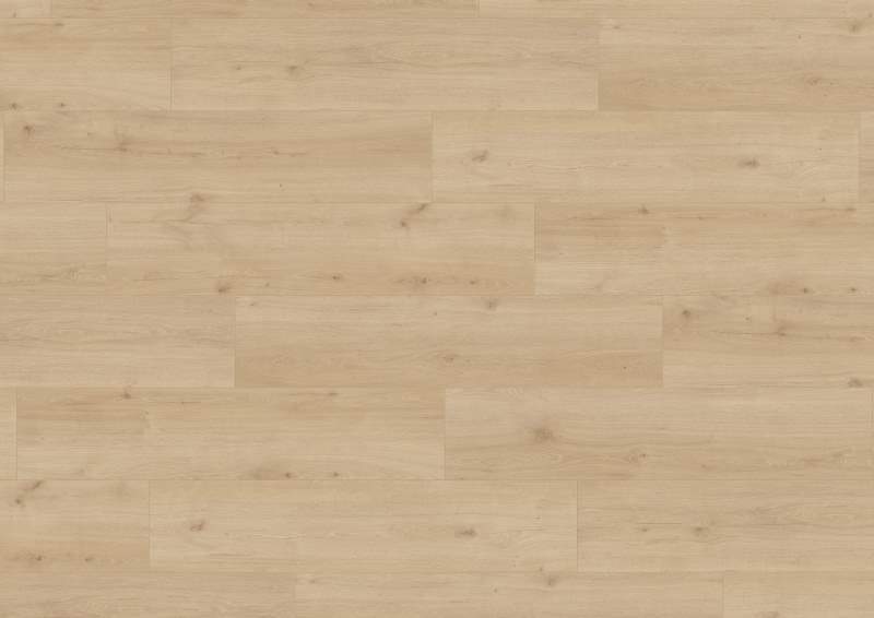 Laminatgolv, Trend Edition, Oak Japandi, Bred planka