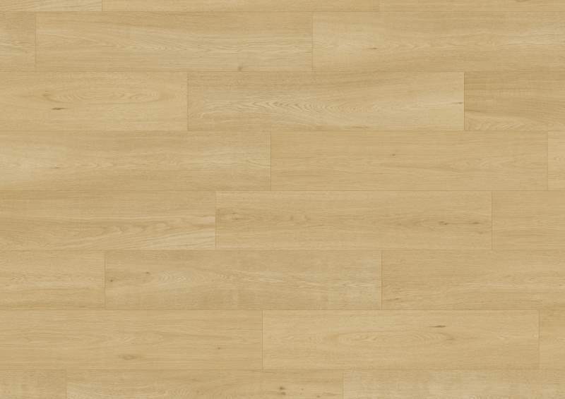 Laminatgolv, Trend Edition, Oak Pure, Bred Planka