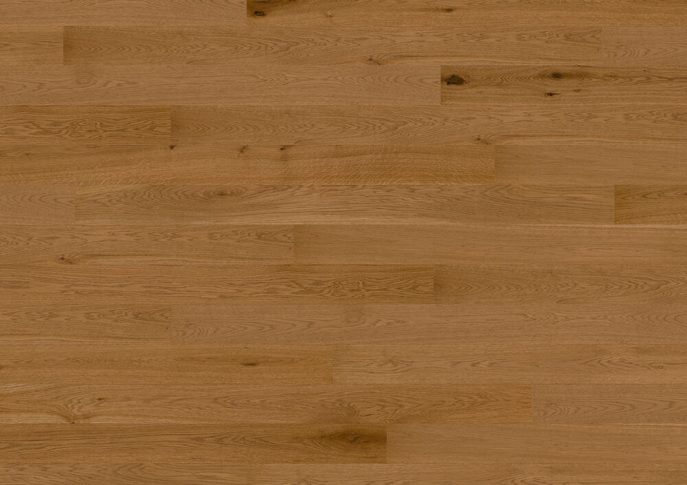 Ter Hürne, Tailored Collection, Plank,  Oak Sant-Emilion
