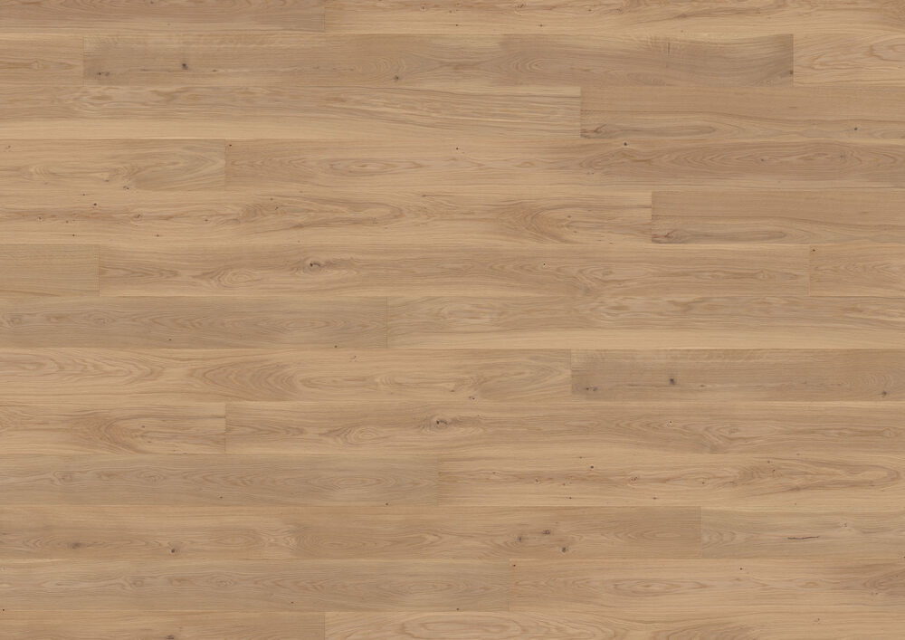 Ter Hürne, Tailored Collection, Planka, Ek Muscadet