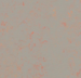 Marmoleum  Concrete - Orange Shimmer