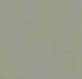 Marmoleum Concrete - Green Shimmer