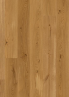 BOEN Ek Animoso, Plank